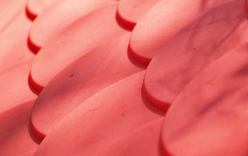 Burrough End plastic roof costs